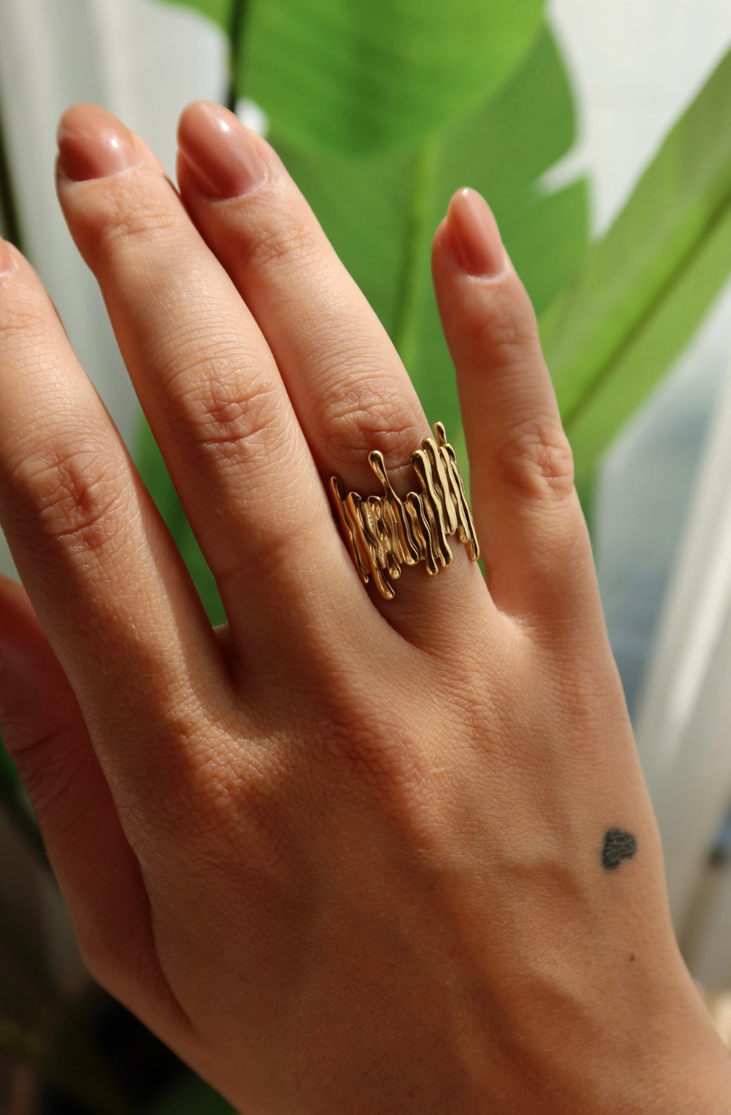 Anello Woody