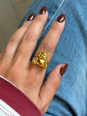 Anello Winnie