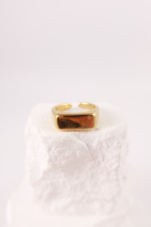 Anello Targhetta Personalizzabile