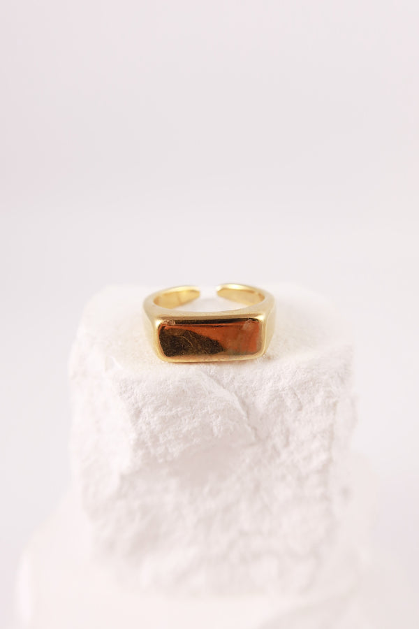 Anello Targhetta Personalizzabile