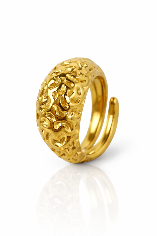 Anello Trama
