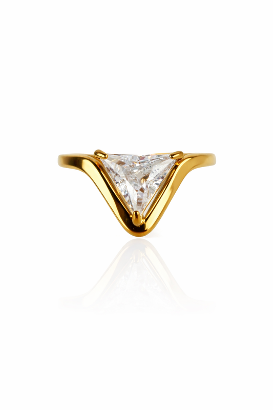 Anello Virgo