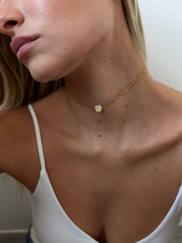 Chocker Dalia