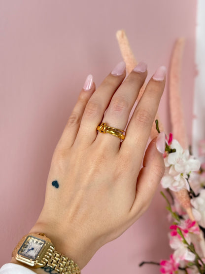 Anello Double Link