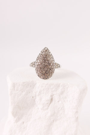 Anello Protagonist