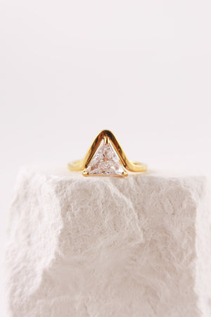 Anello Virgo