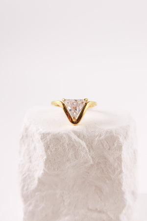 Anello Virgo