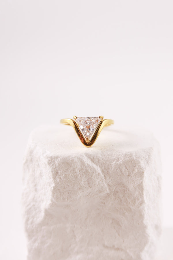 Anello Virgo