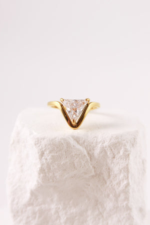 Anello Virgo