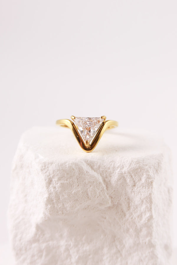Anello Virgo