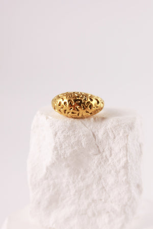 Anello Trama