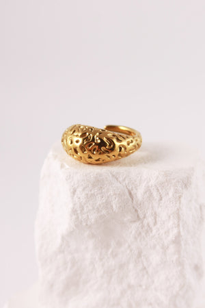 Anello Trama