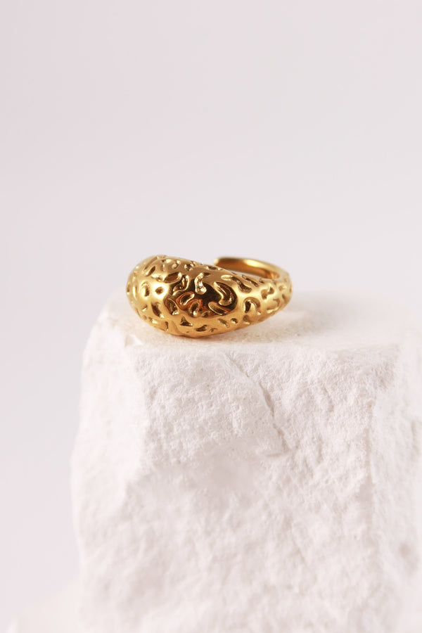 Anello Trama
