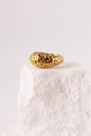 Anello Trama