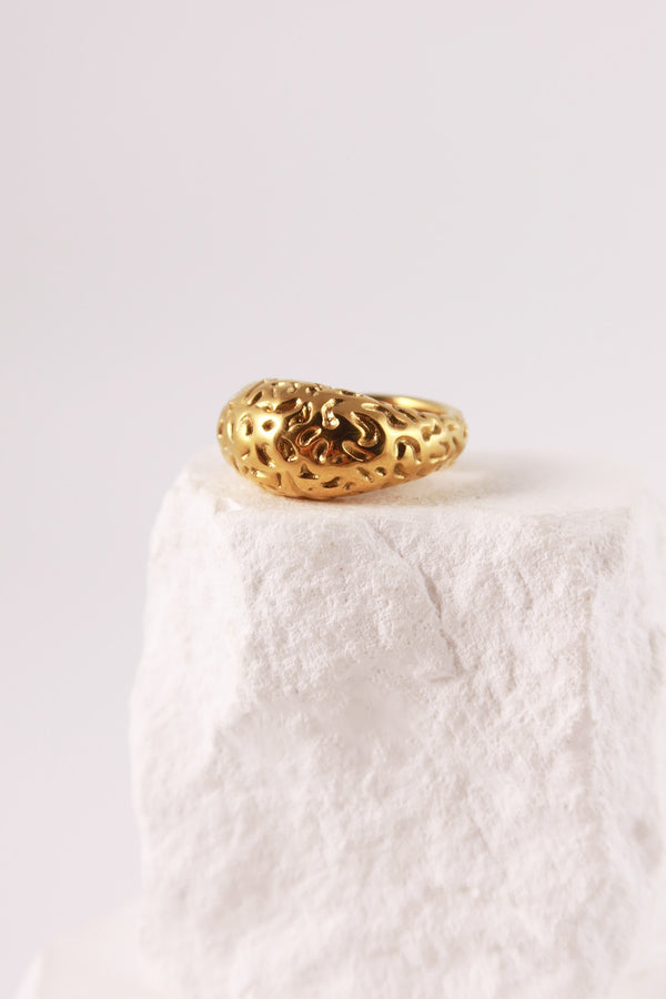 Anello Trama