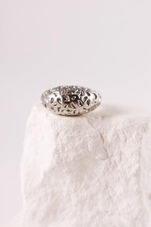 Anello Trama