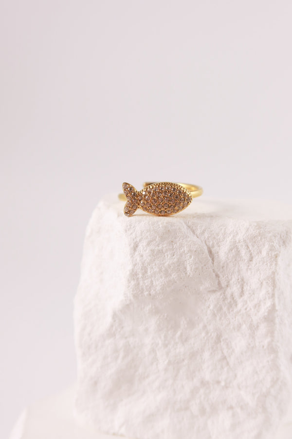 Anello Fish