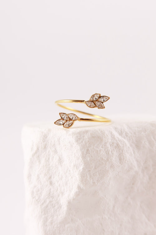 Anello Lumière