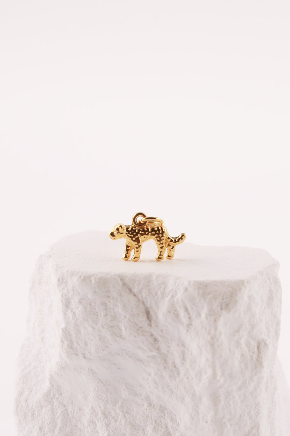 Charm Tigre