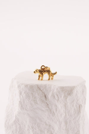 Charm Tigre