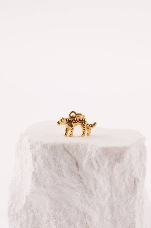 Charm Tigre