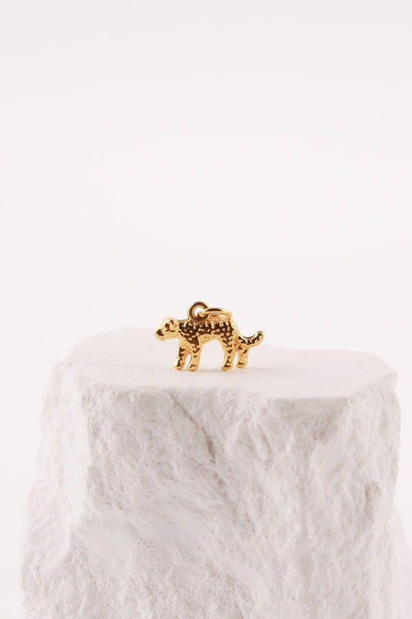 Charm Tigre
