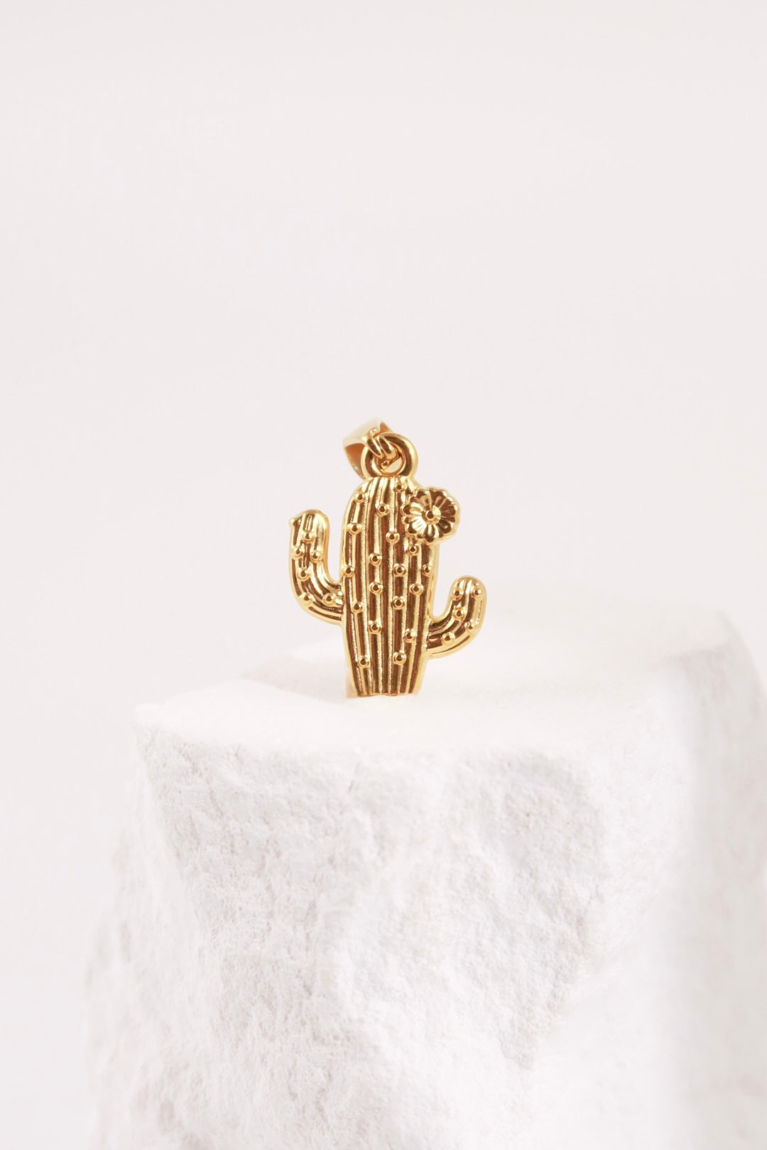 Charm Cactus