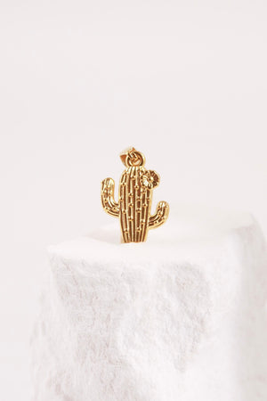 Charm Cactus