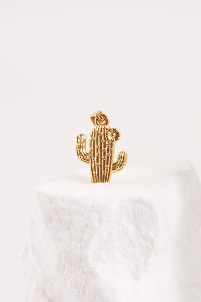 Charm Cactus
