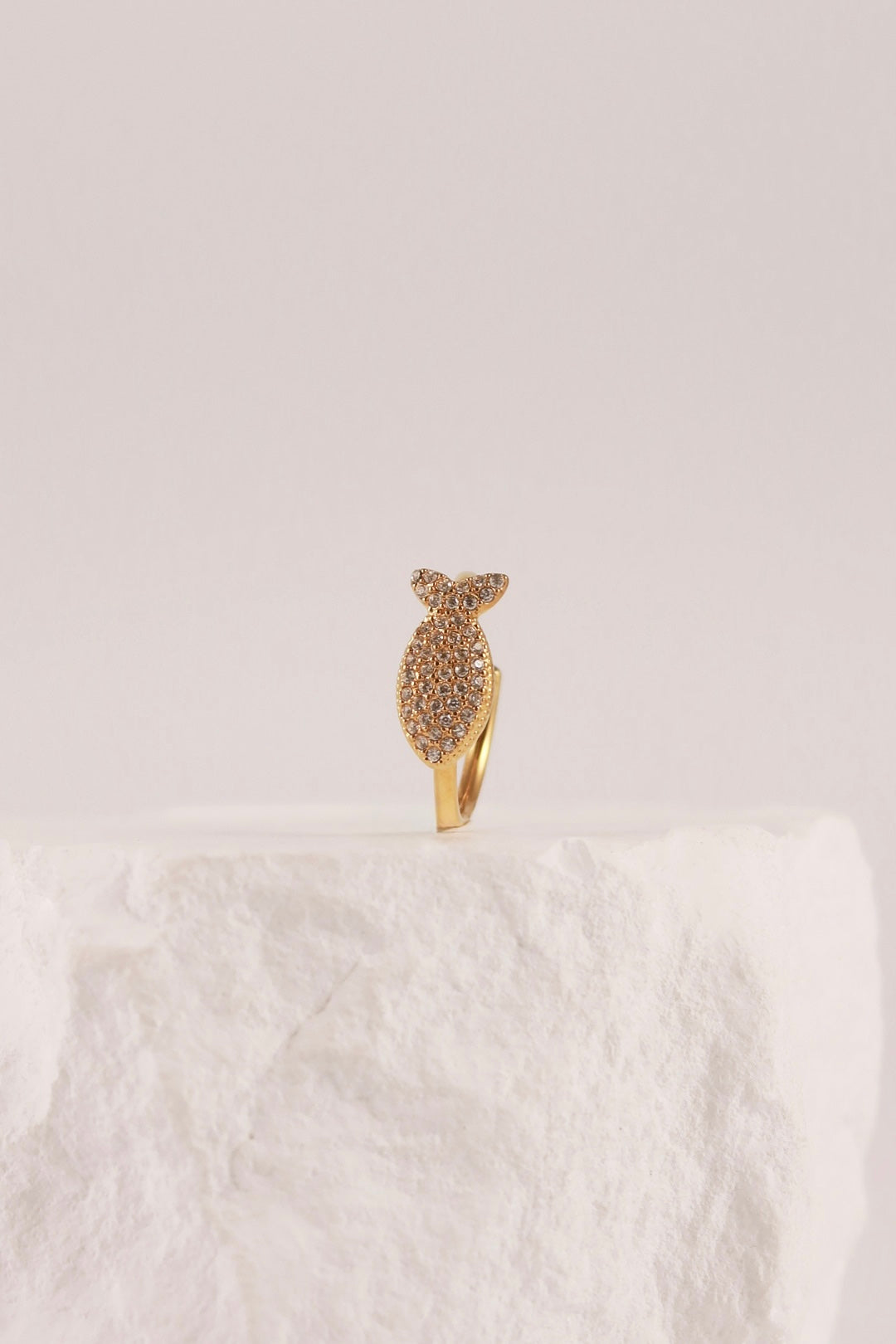 Anello Fish