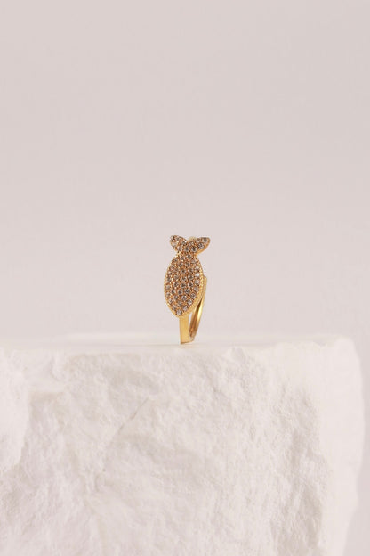 Anello Fish