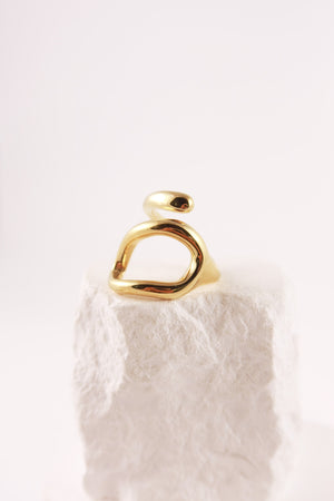 Anello Dynamo