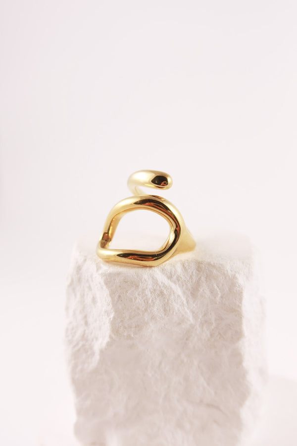 Anello Dynamo