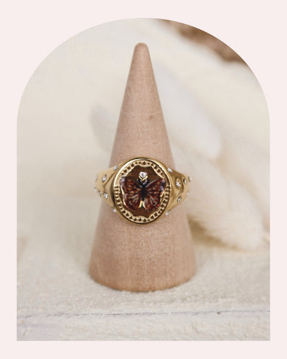 Anello Sogna, Ragazzo, Sogna