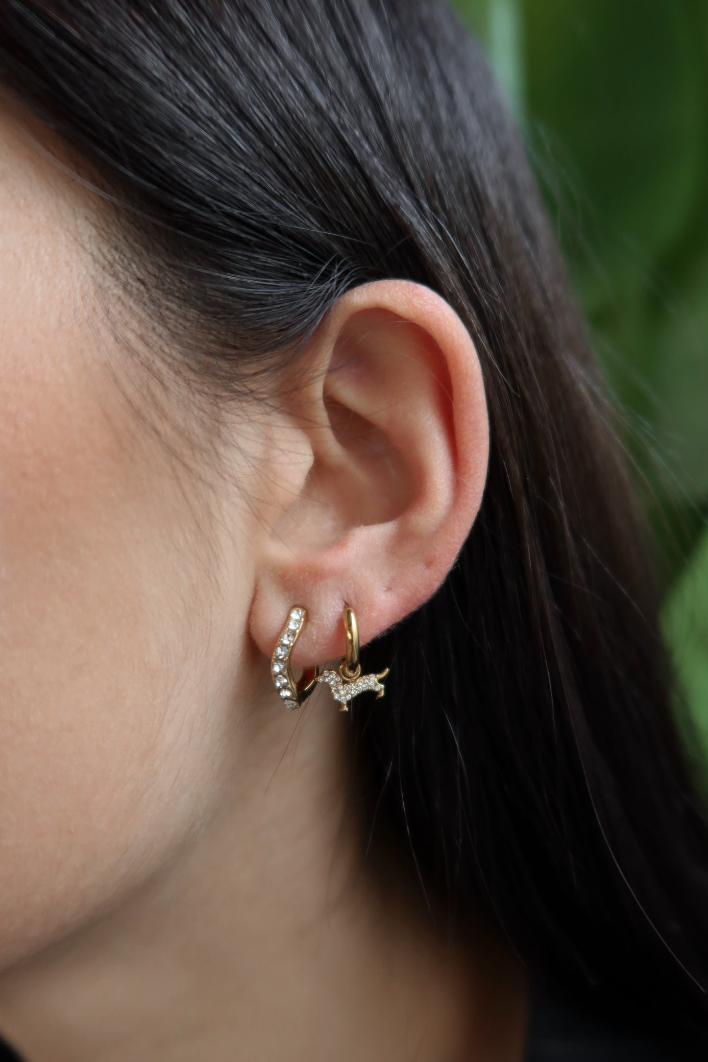 Orecchino Singolo Bassotto