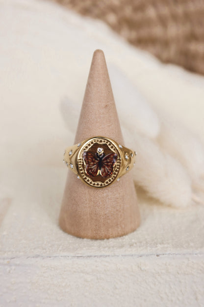 Anello Sogna, Ragazzo, Sogna